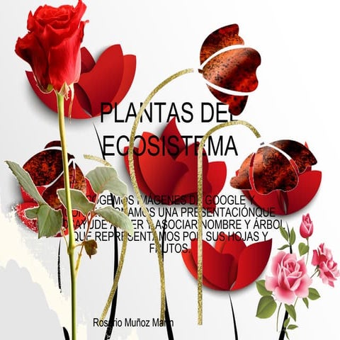 ASOCIAMOS MOMBRE PLANTA