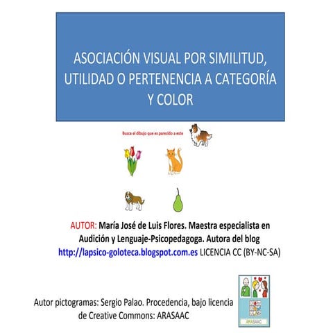 Asociación visual
