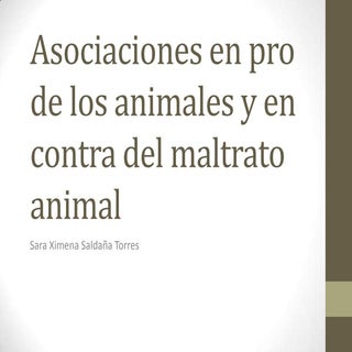 Asociaciones maltrato animal