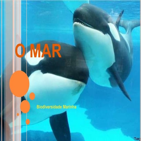 As Orcas | PPTX