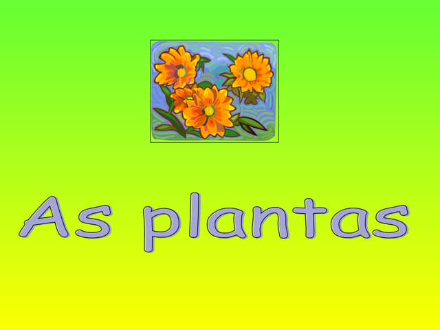 As partes de uma planta