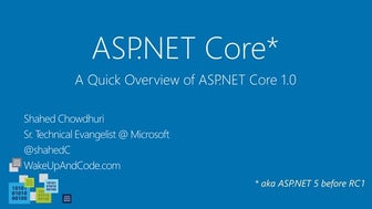 ASP.NET Core MVC + Web API with Overview