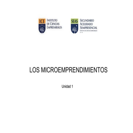 Aspectos a tener en cuenta en un microemprendimiento