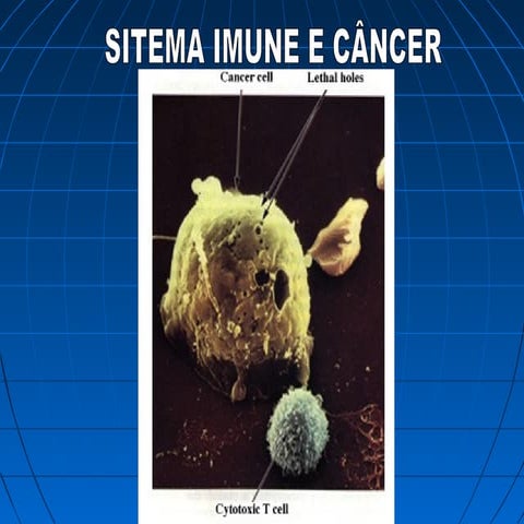 Aspectos da resposta imune a tumores