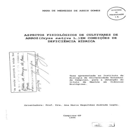 Aspectos fisiologicos arroz estresse hidrico