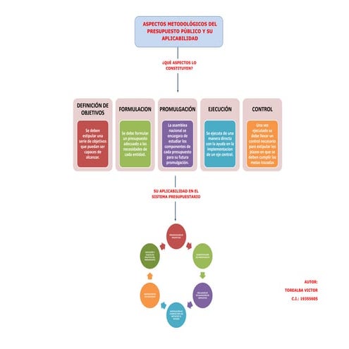 ASPECTOS METODOLÓGICOS DEL PRESUPUESTOS
