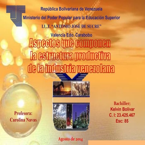 Aspectos que componen la estructura productiva de la industria venezolana