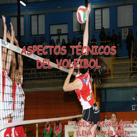Aspectos técnicos del voleibol