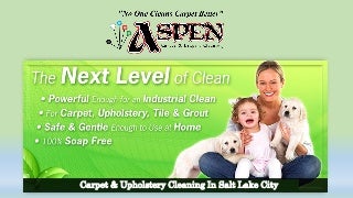 Carpet and upholstery cleaning tips