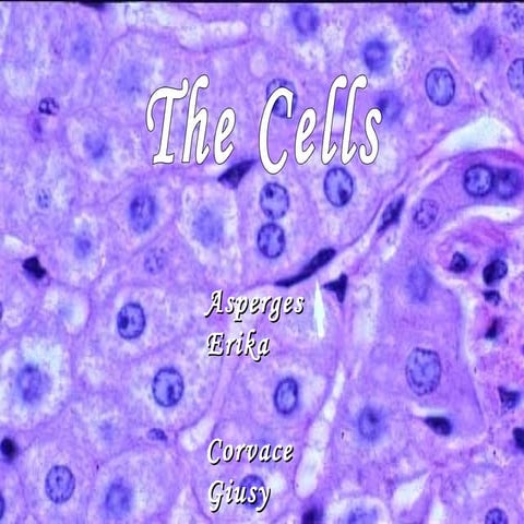 The Cell