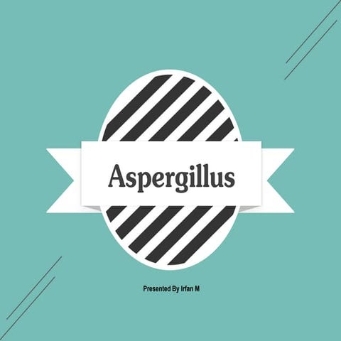 Introduction, classification, modes of reproduction of Aspergillus Fungi 