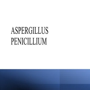 Aspergillus & penicillium