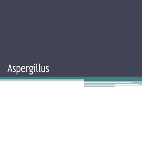 Aspergillus species