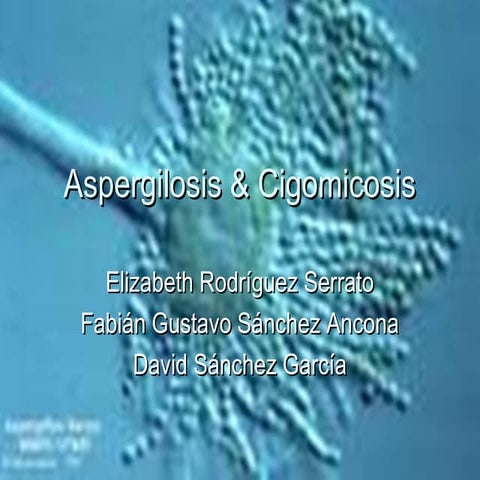 Aspergilosis