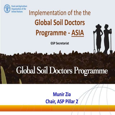 Item 3. Pillar 2 - Global Soil Doctors Programme