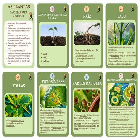 AS PLANTAS 5º PRIMARIA  XOGO DIDÁCTICO PARA ESTUDAR O TEMA.