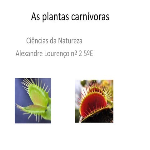 As plantas carnívoras
