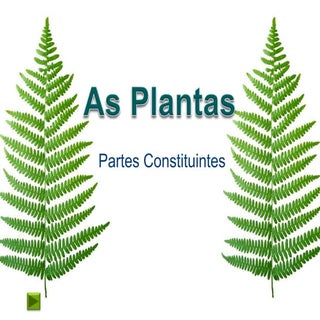 As Plantas, Raiz E Caule