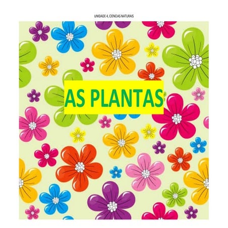 As planta steoria