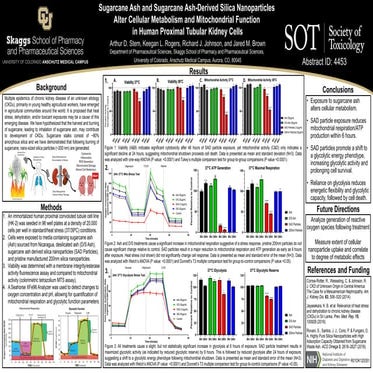 Sugarcane Ash and Sugarcane Ash-Derived Silica Nanoparticles Alter Cellular Metabolism and Mitochondrial Function in Human Proximal Tubular Kidney Cells