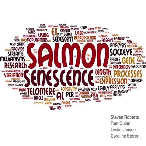 Salmon Senescence