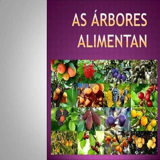 As árbores alimentan