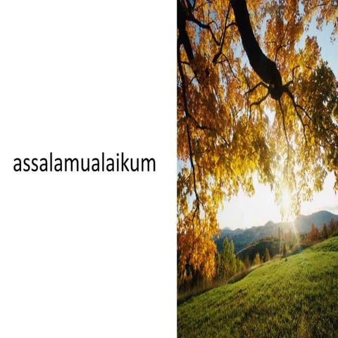 Assalamualaikum