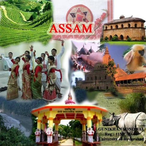 Assam_the beautiful state of north_east India