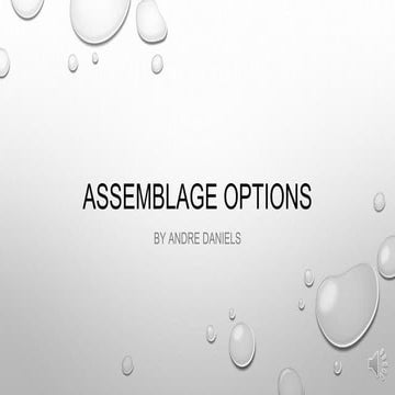 Assemblage Options 2020