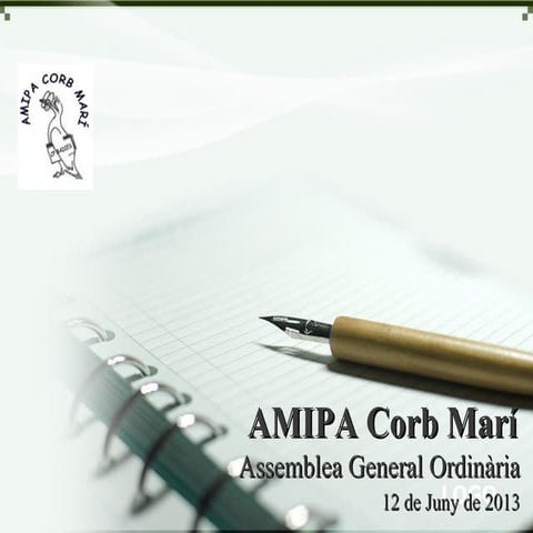 Assemblea general 120613