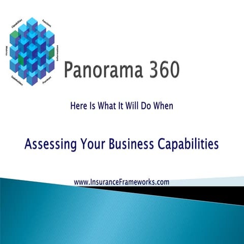 Assessing Business Capabilities