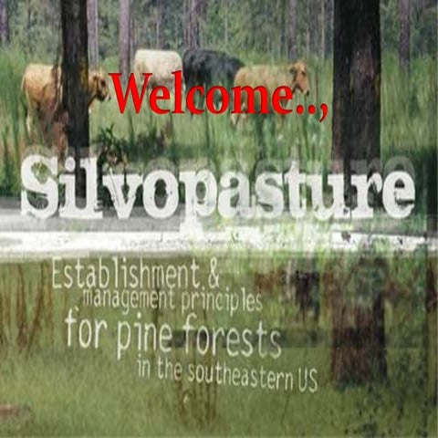 Assessing fodder production in silvipasture production