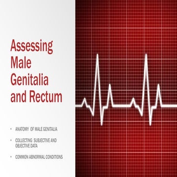A Guide to the Clinical Male Urogenital Examination | PPTX