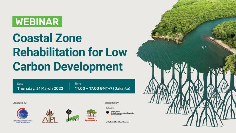 thumbnail of  Assessing mangrove rehabilitation priority in Indonesia