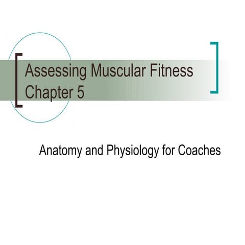 Assessing muscular fitness