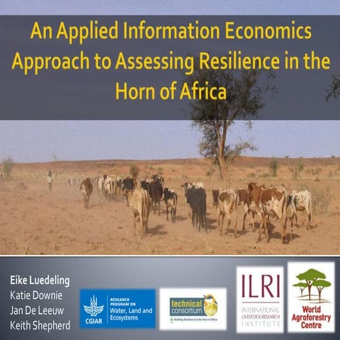 An Applied Information Economics Approach to Assessing Resilience in the Horn of Africa