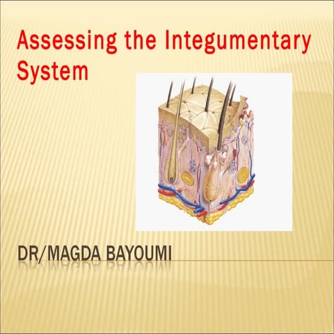Assessing the integumentary system new
