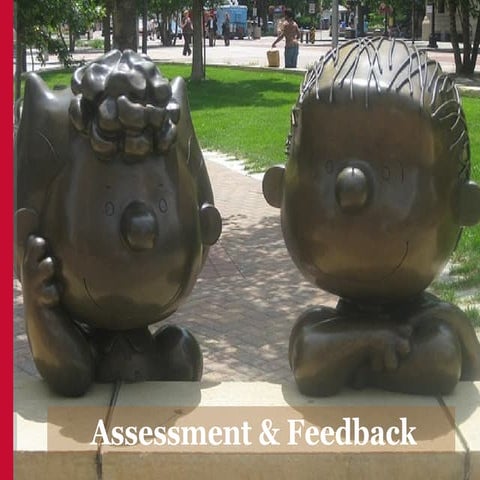 Assessment and Feedback
