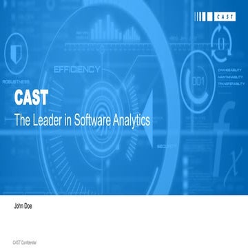 Application Assessment - Executive Summary Report