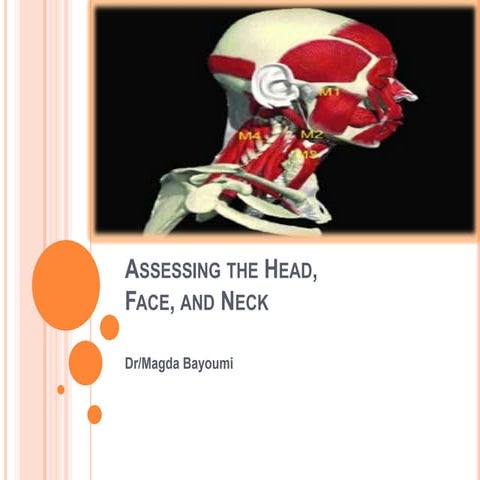 Assessment neck