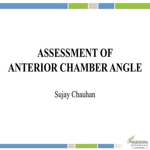 Assessment of Anterior Chamber Angle