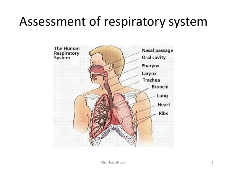 Visual Examination of the Larynx Trachea and Bronchi
