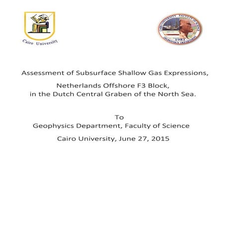 Assessment of subsurface shallow gas expressions