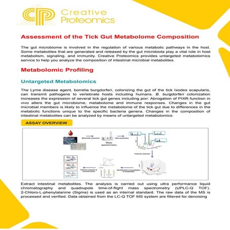 Untargeted Metabolomics Strategy VS Targeted Metabolomics Strategy.pdf