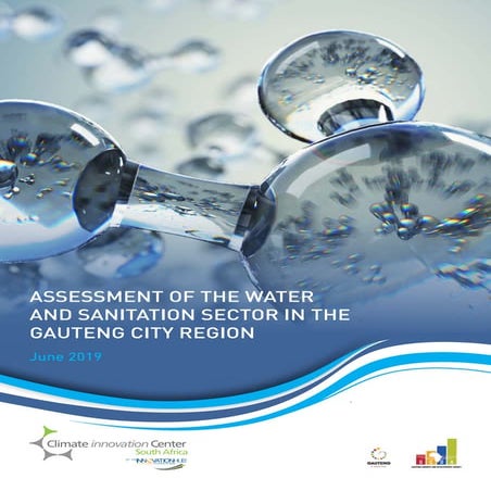 Assessment of the water and sanitation sector in the gauteng city ...
