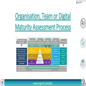 Organisation, Team & Digital Assessment process 