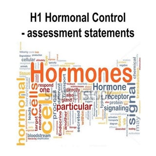 Assessment statements   h1