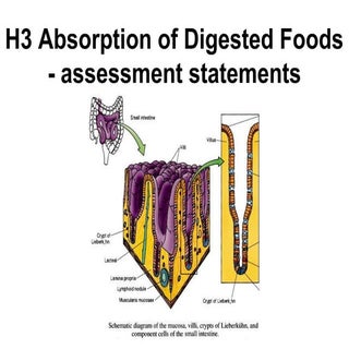 Assessment statements   h3