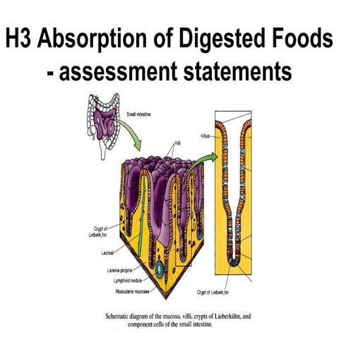 Assessment statements   h3