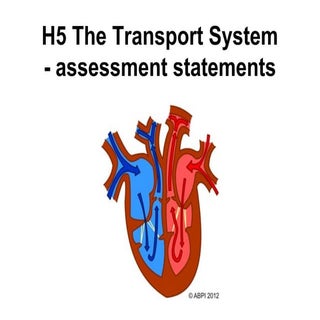 Assessment statements   h5